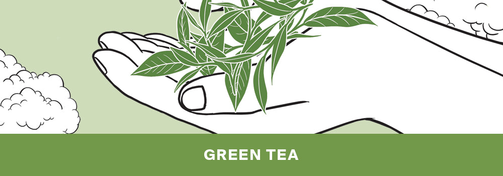 Green Tea 綠茶